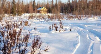 Trapper Creek Denali View Cabin