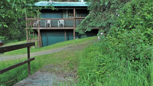 Une terrasse en bois mène à un bâtiment doté d’un toit végétalisé, qui est entouré d’une végétation luxuriante et bordé d’un sentier herbeux.