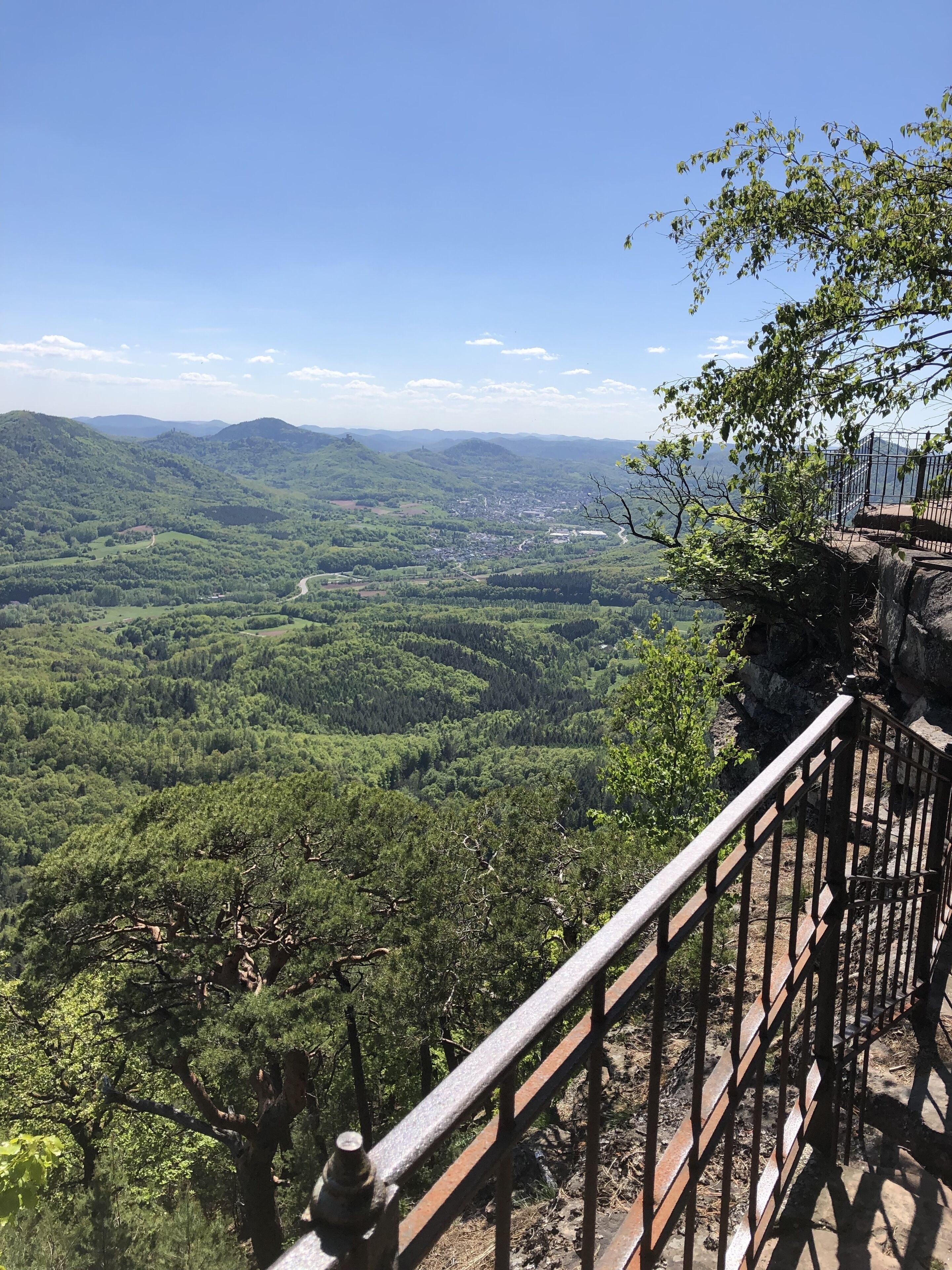 Ein Aussichtspunkt mit Metallgeländer, üppigem Grünwald und Blick auf eine ferne Stadt.