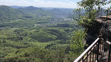 Un belvédère offrant une vue panoramique, avec une rambarde en métal, une forêt verdoyante et une vue sur la ville au loin.
