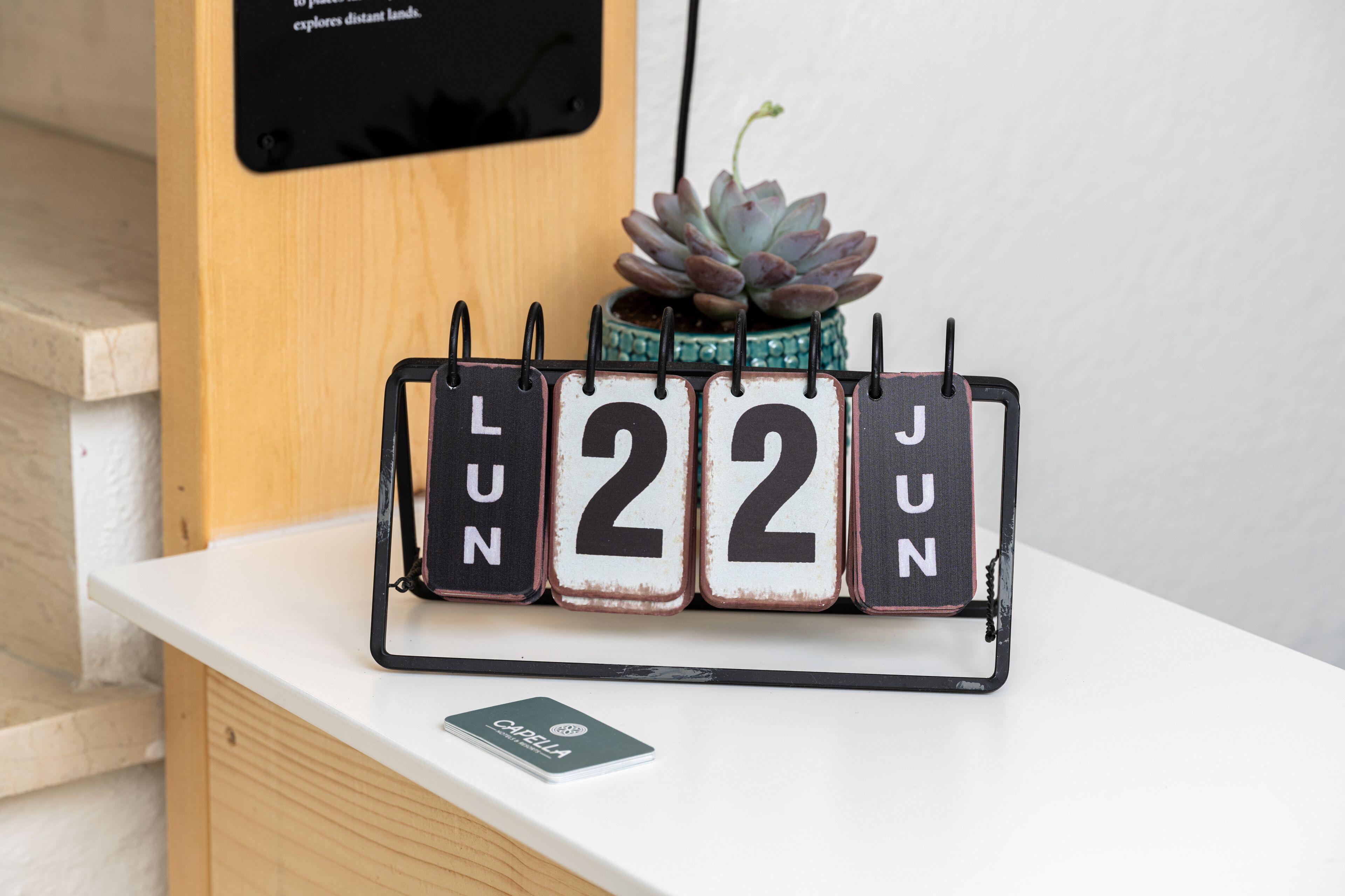 Un calendrier affichant le mois de juin, une petite plante succulente et, à l’arrière-plan, un meuble en bois.