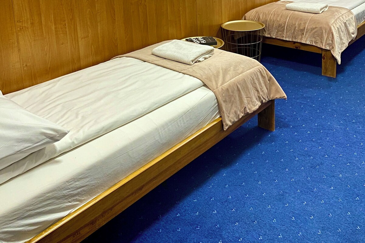 A hotel room with two single beds, a large feather artwork on the wall, a small round table, and a blue carpet.