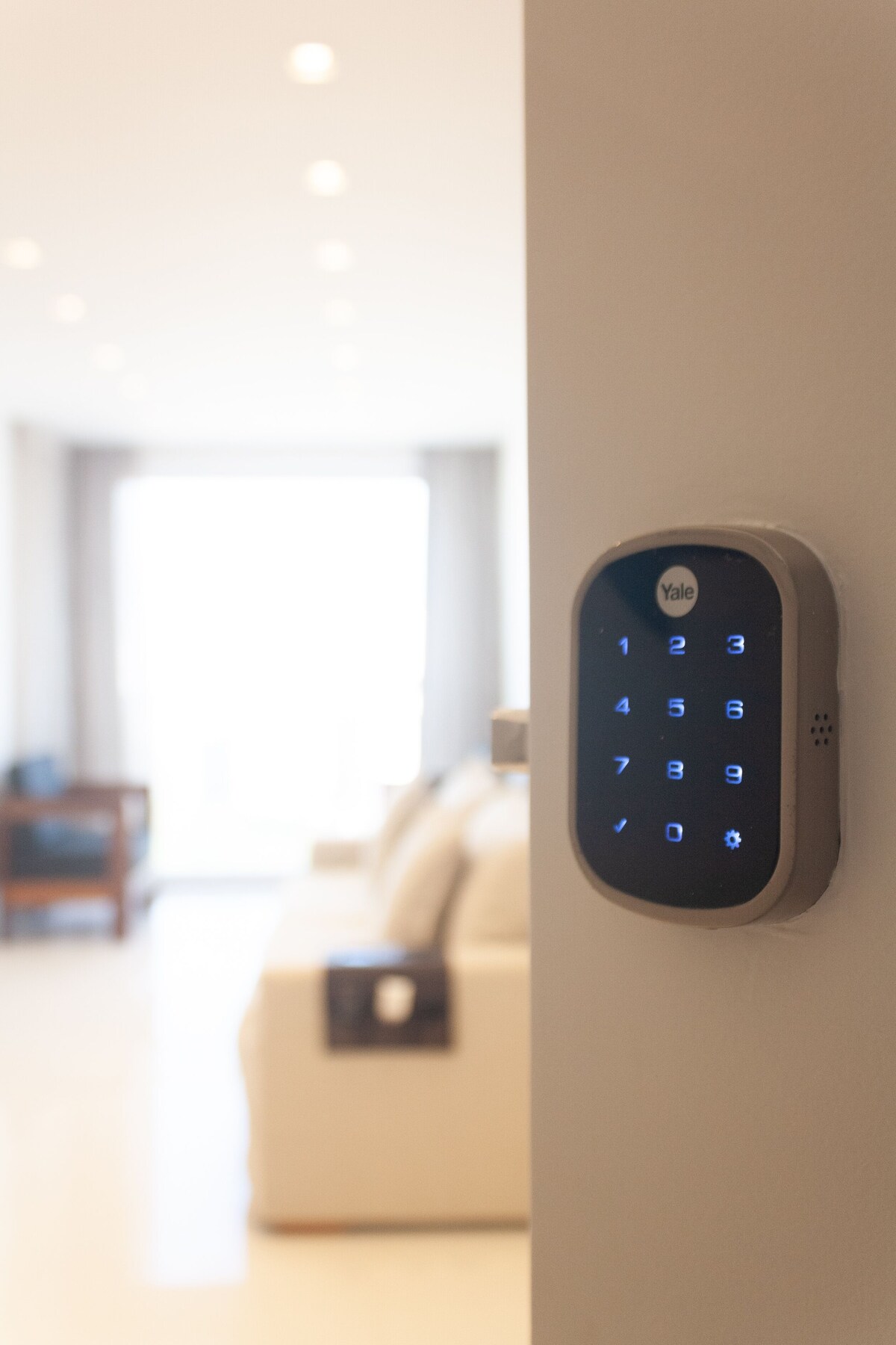 Imagen de perfil del propietario o de la propietaria