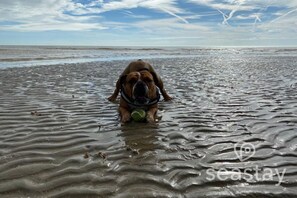 Beach - Escape to The Gatehouse Lodge, a bespoke oak retreat on a working farm near Deal. Enjoy distant sea views, a cosy log burner, private secure garden, kitchen, free parking and slow EV charger —perfect for two adults, a child and one well-behaved dog. (Deal)