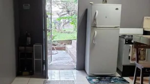 Un pasillo estrecho con un rug detallado, un refrigerador y una puerta que da a un espacio exterior.