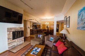 TV, fireplace, books