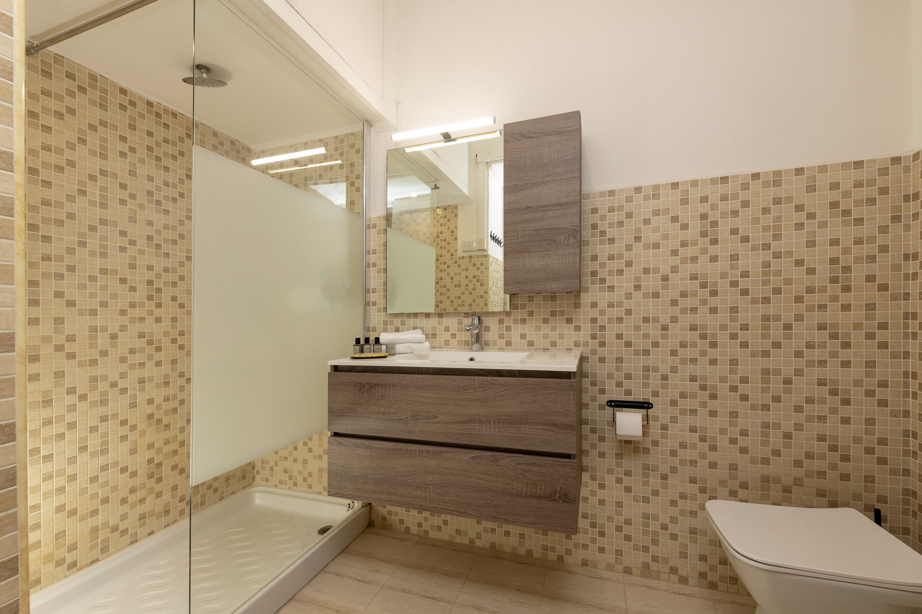 Une salle de bain avec douche, toilettes et lavabo.