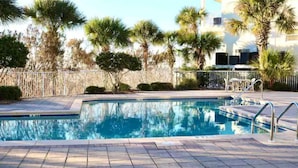A swimming pool with tiled deck, surrounded by palm trees and a fence.