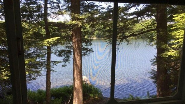 A view through a window of a lake surrounded by trees. - Mystic Bungalow (Belgrade)
