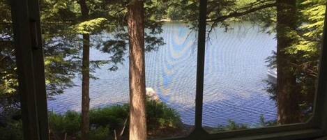A view through a window of a lake surrounded by trees.