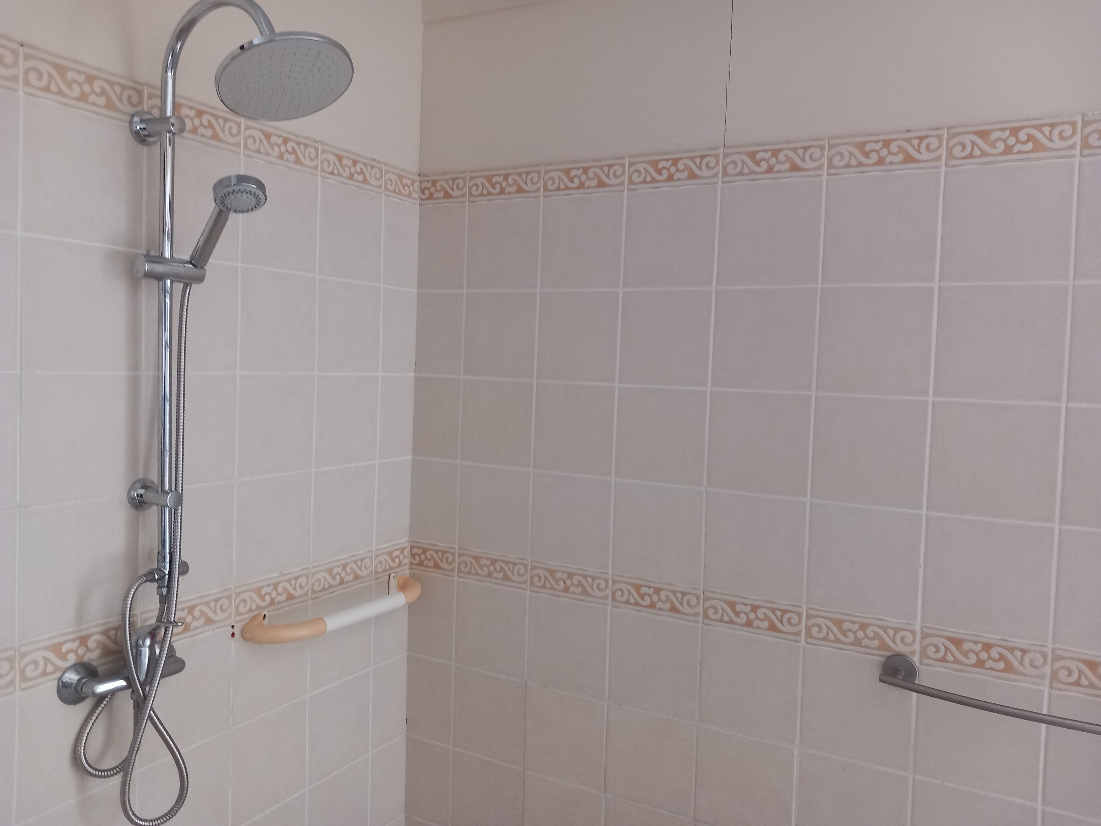 Une douche équipée d’un pommeau de douche à main et d’un robinet fixé au mur.