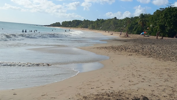 Una platja amb cel blau, ones tranquil·les, riba sorrenca i palmeres al fons.