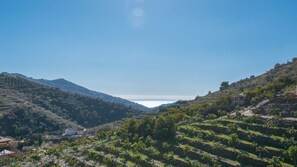 Property grounds - Casa La Palma Cómpeta by Ruralidays (Málaga)