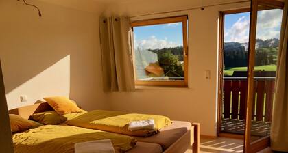 Panoramic view with 2 balconies and Swedish stove