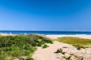 Playa en los alrededores