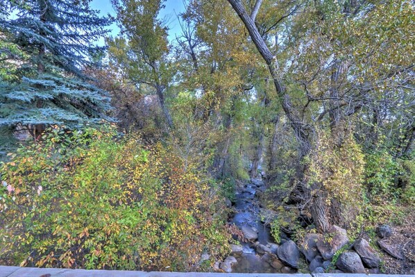 Un paysage naturel avec un ruisseau, des arbres et des rochers.