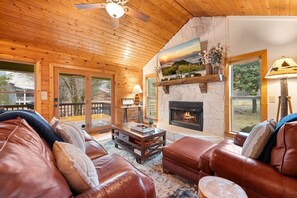 Televisión, chimenea, libros y estéreo 