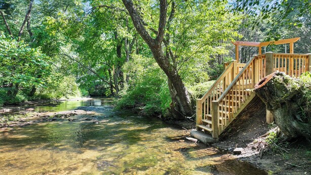 A wooden staircase leading down to a clear stream surrounded by lush greenery. - Creekfront: Views, Hot Tub, Fire Pit & Game Room (Blue Ridge)