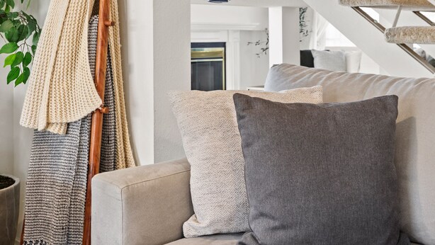 A modern living room with a sofa, a plant, and a wooden ladder leaning against the wall.