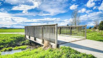 Eine Holzbrücke über einem Bach in einem grünen Feld, bewölkter Himmel.
