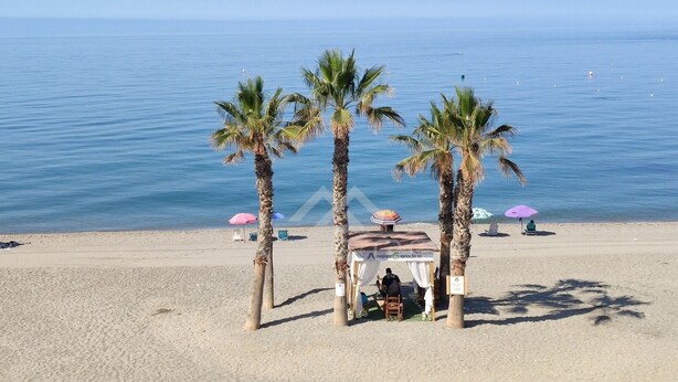 Una spiaggia con palme, una zona con sedute all'ombra e ombrelloni.