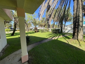 A well-maintained lawn with palm trees and a white picket fence.