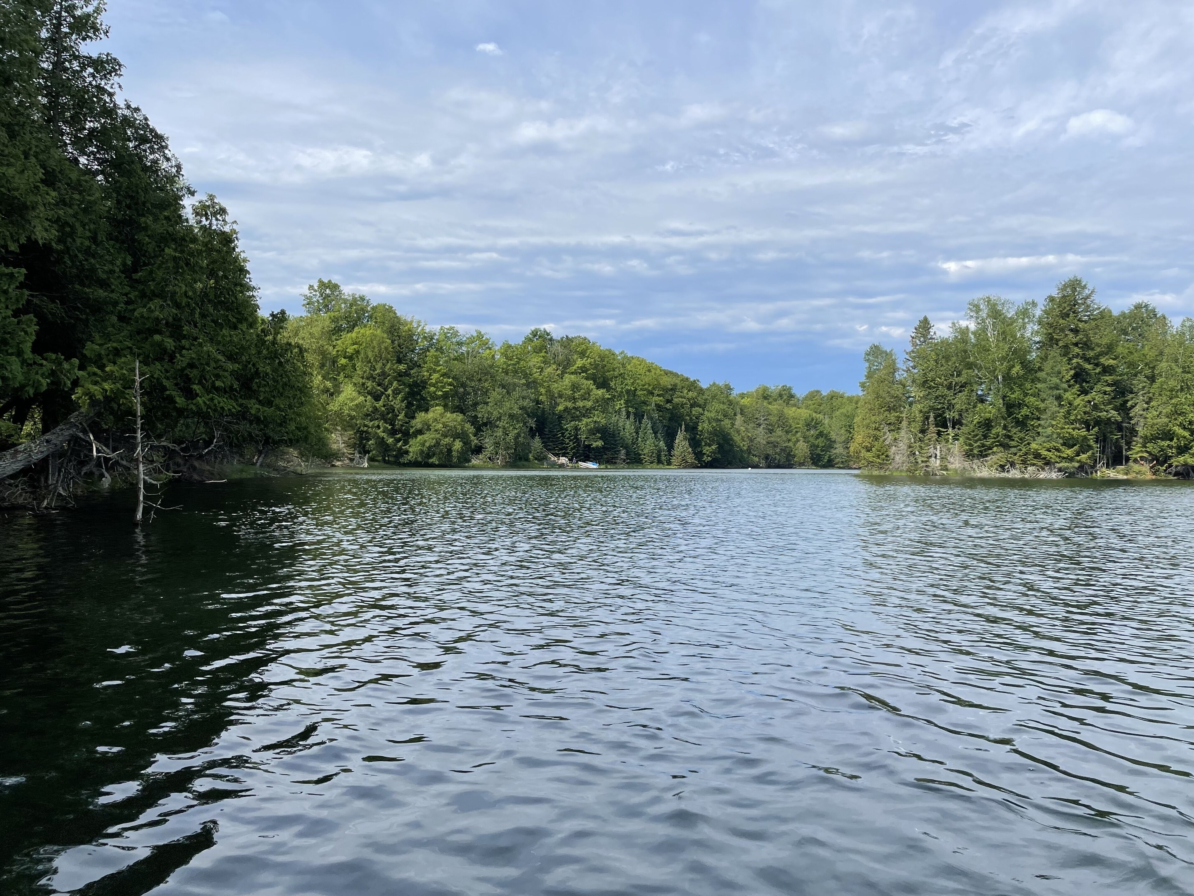 A calm lake surrounded by dense forest.