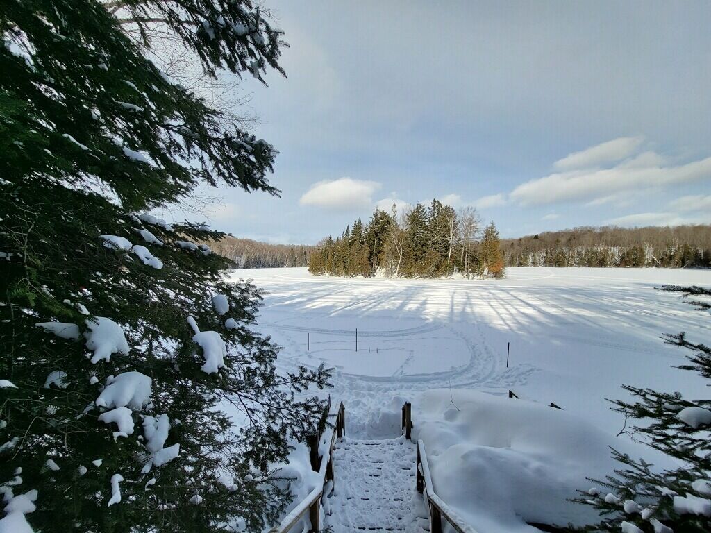 Un paisaje nevado con un puente de madera que conduce a un bosque.