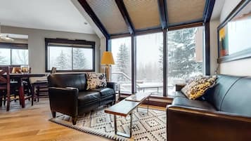 Televisión y chimenea