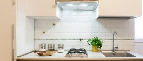 Fridge, stovetop, dishwasher, coffee/tea maker