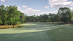 Ein Golfplatz mit gepflegter Spielbahn, Sandbunkern und verschiedenen Bäumen.