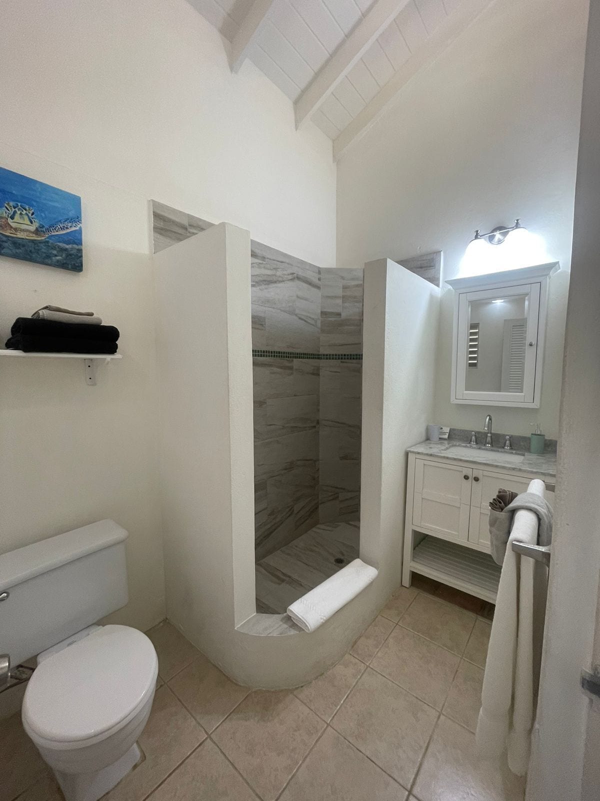 Een badkamer met douche, toilet, wastafel en een handdoekrek.