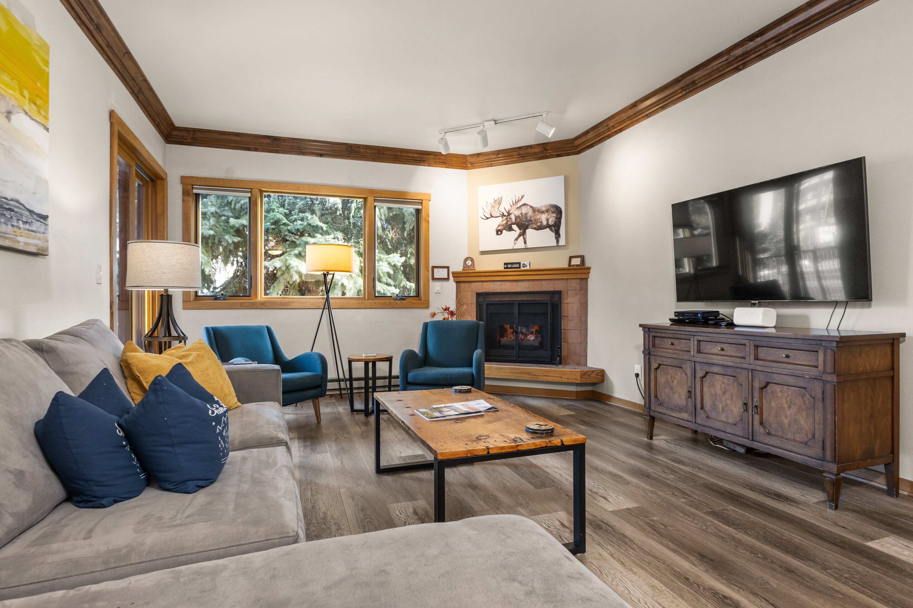 Télévision, cheminée, lecteur de DVD, livres