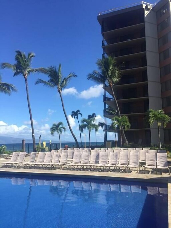 A poolside area with lounge chairs and palm trees, a clear sky, and a building in the background.