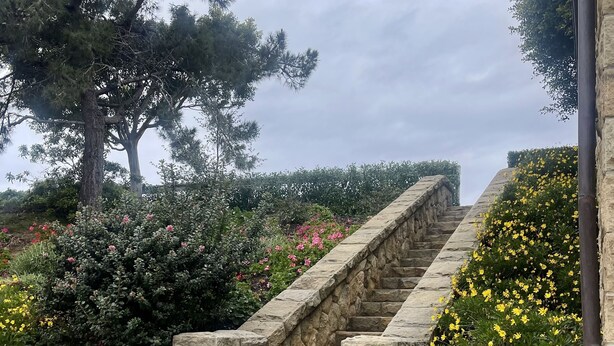 A stone staircase leading up a hill, surrounded by lush greenery and flowering plants.
