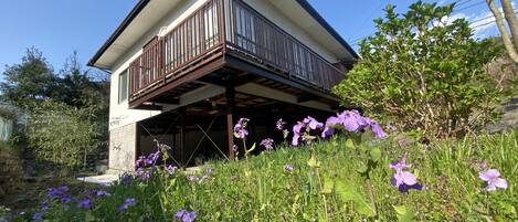 A two-story house with a balcony, surrounded by lush greenery and purple flowers.