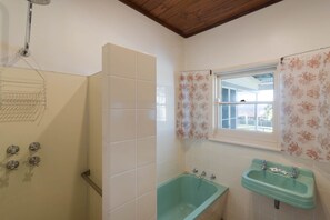 Een badkamer met een douche, bad en wastafel.