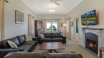 Televisión, chimenea, libros