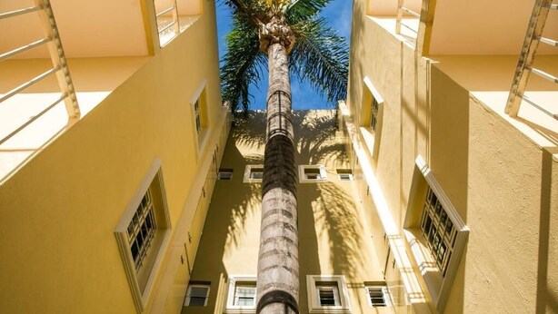 A narrow corridor with a central column, small windows, and a palm tree.