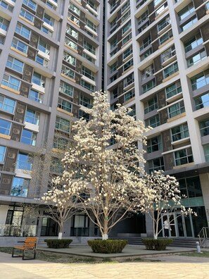 Studio Deluxe | Vue sur le jardin