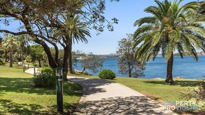 A pathway leading to a body of water, surrounded by palm trees and greenery.