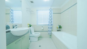 Hair dryer, towels, shampoo, toilet paper