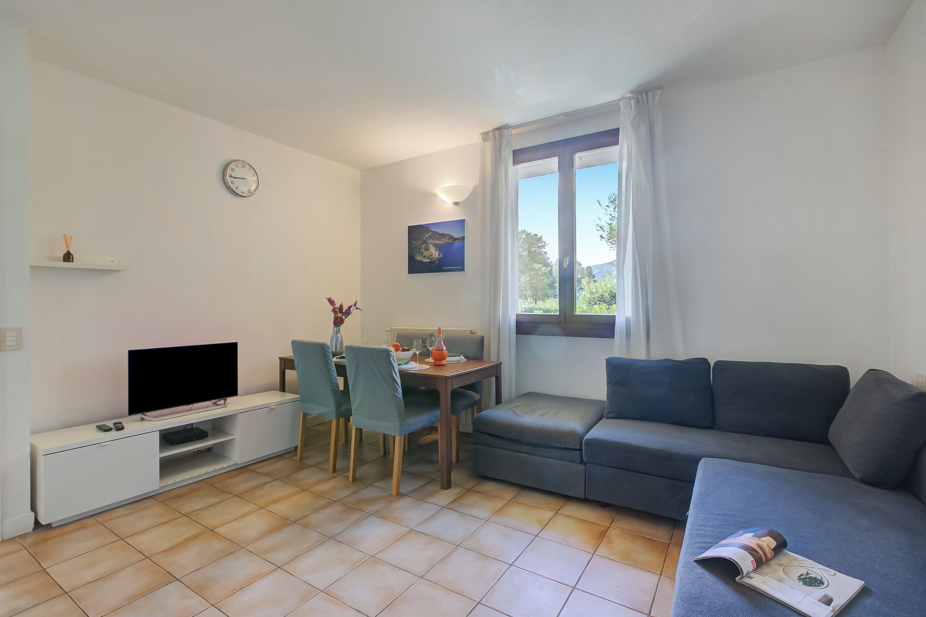 تلفزيون، مشغل دي في دي