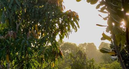 Stunning Eco-Friendly Retreat in Nature (Pet-Friendly!)