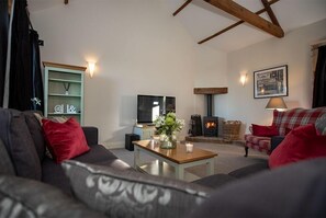 Télévision LCD, cheminée, lecteur de DVD, chaîne hi-fi