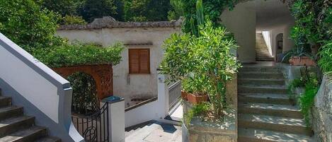 Área da propriedade