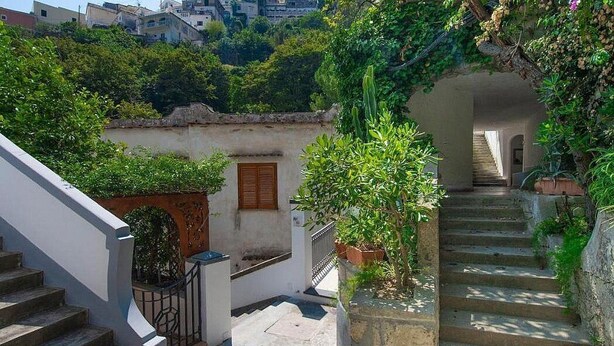 Un escalier étroit menant à un deuxième étage, entouré de verdure et d’un bâtiment blanc doté d’une porte en bois.