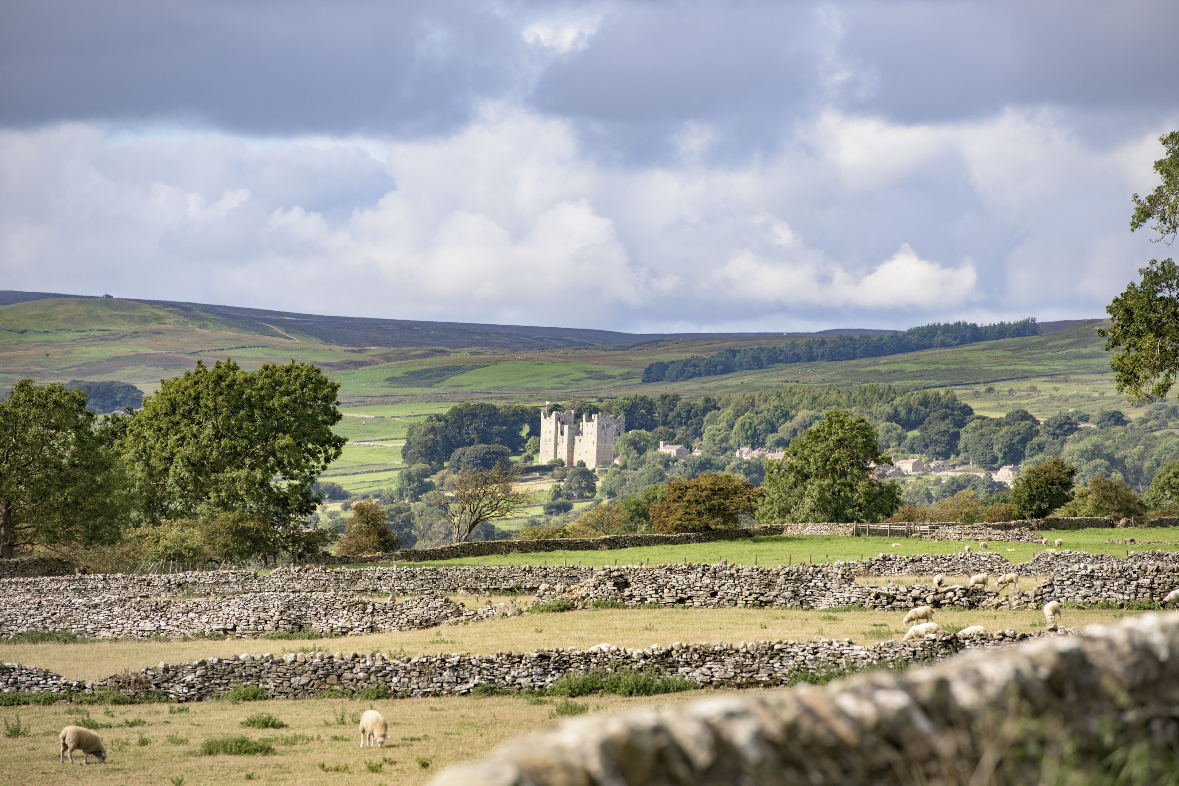 A rural landscape with a stone wall, sheep grazing, and a castle in the distance.