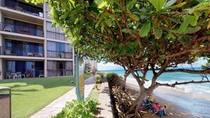 A beachfront hotel with a well-maintained lawn, a tree-lined pathway, and a beach area with lounge chairs.