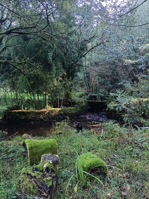 Parco della struttura